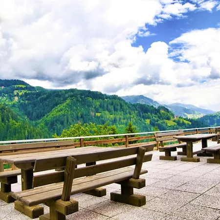 Near Afritzer & Nockberge Trails Appartement *
