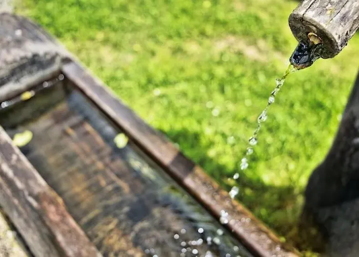 Near Afritzer & Nockberge Trails Innere Einode